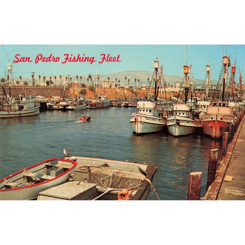 Vintage San Pedro Fishing Fleet California Postcard SceniKrome GW 110-A VG+